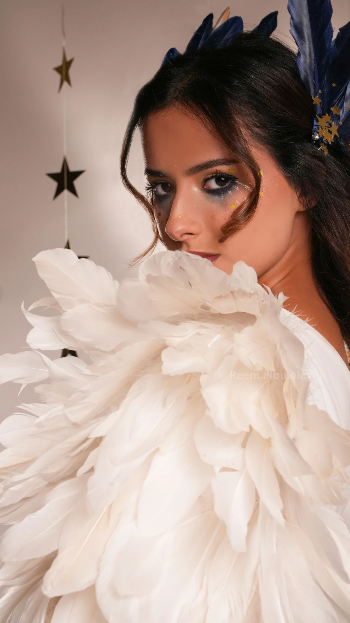 صورة مشروع أسترنيس 4